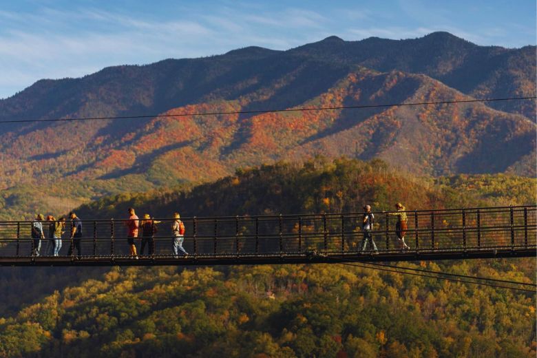 Gatlinburg SkyBridge Admission: Is It Free or Do You Need to Pay?